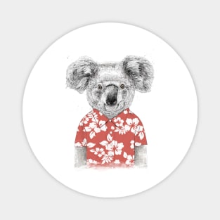 Summer koala Magnet